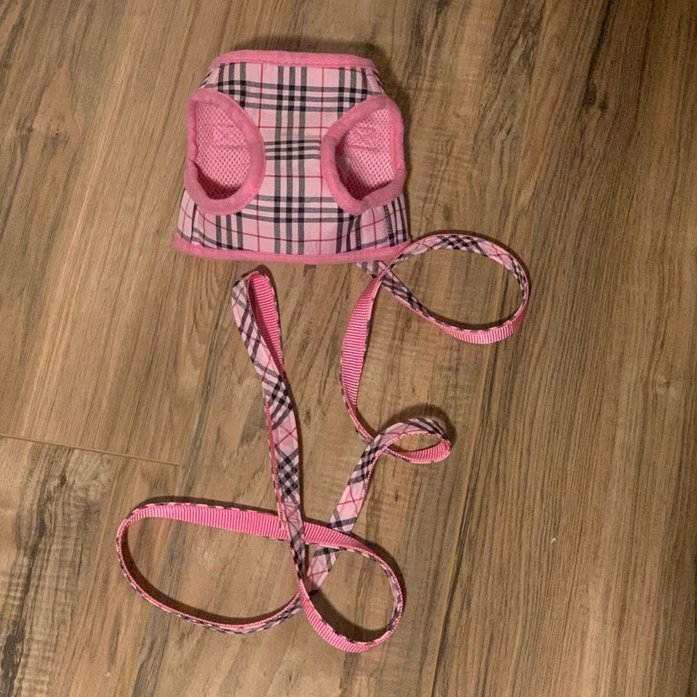 Brand new pet harness & leash 🦮🐶